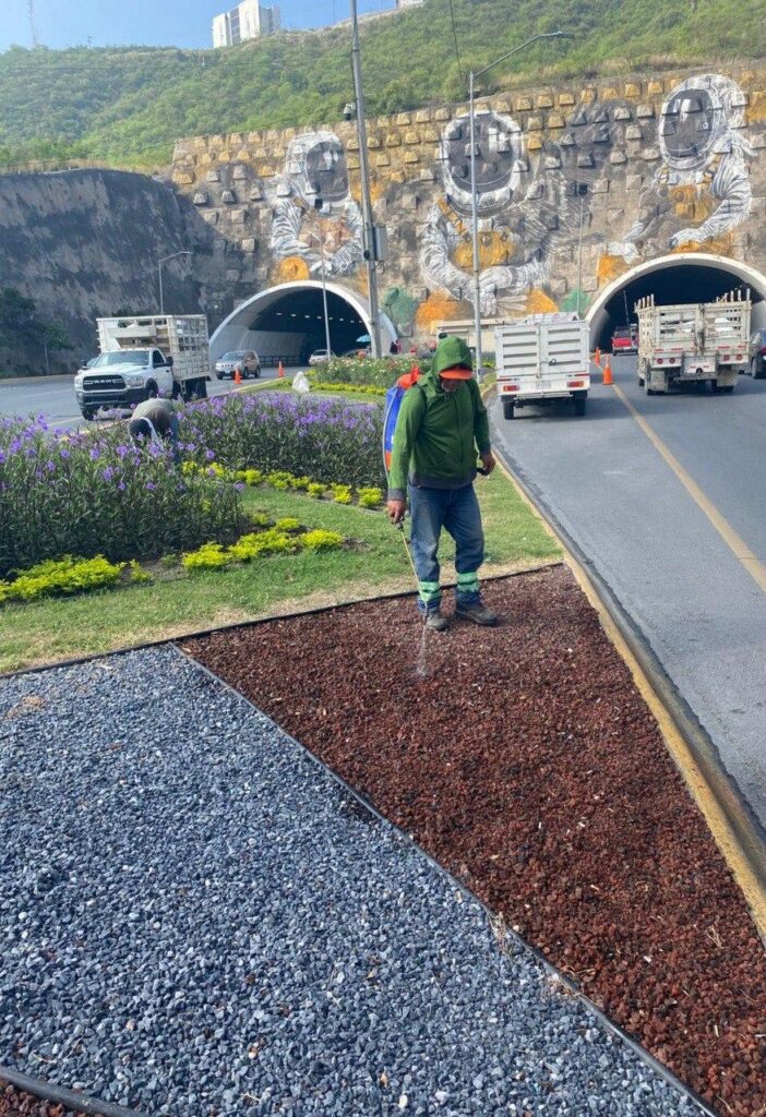 Brinda Monterrey mantenimiento a la imagen urbana