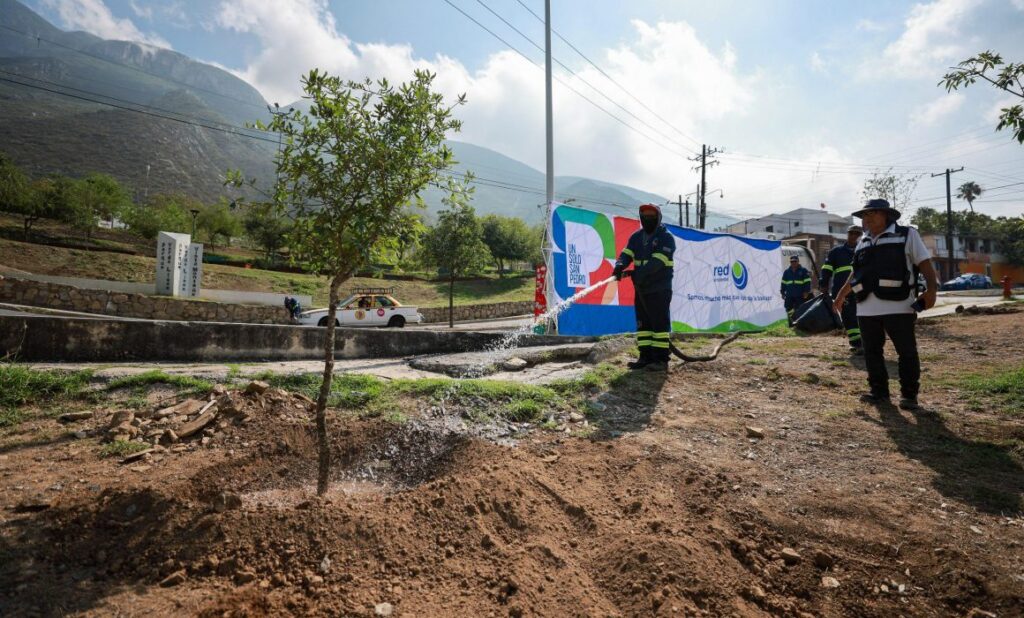 San Pedro impulsa reforestación en La Retama