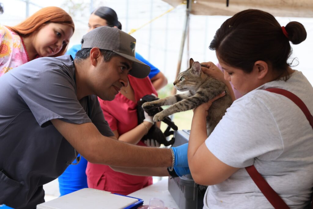 Ofrece Monterrey campaña de salud y bienestar animal